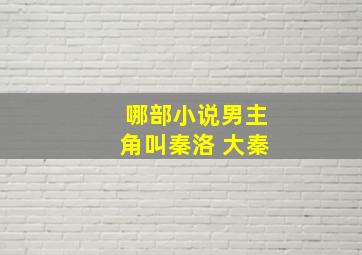 哪部小说男主角叫秦洛 大秦